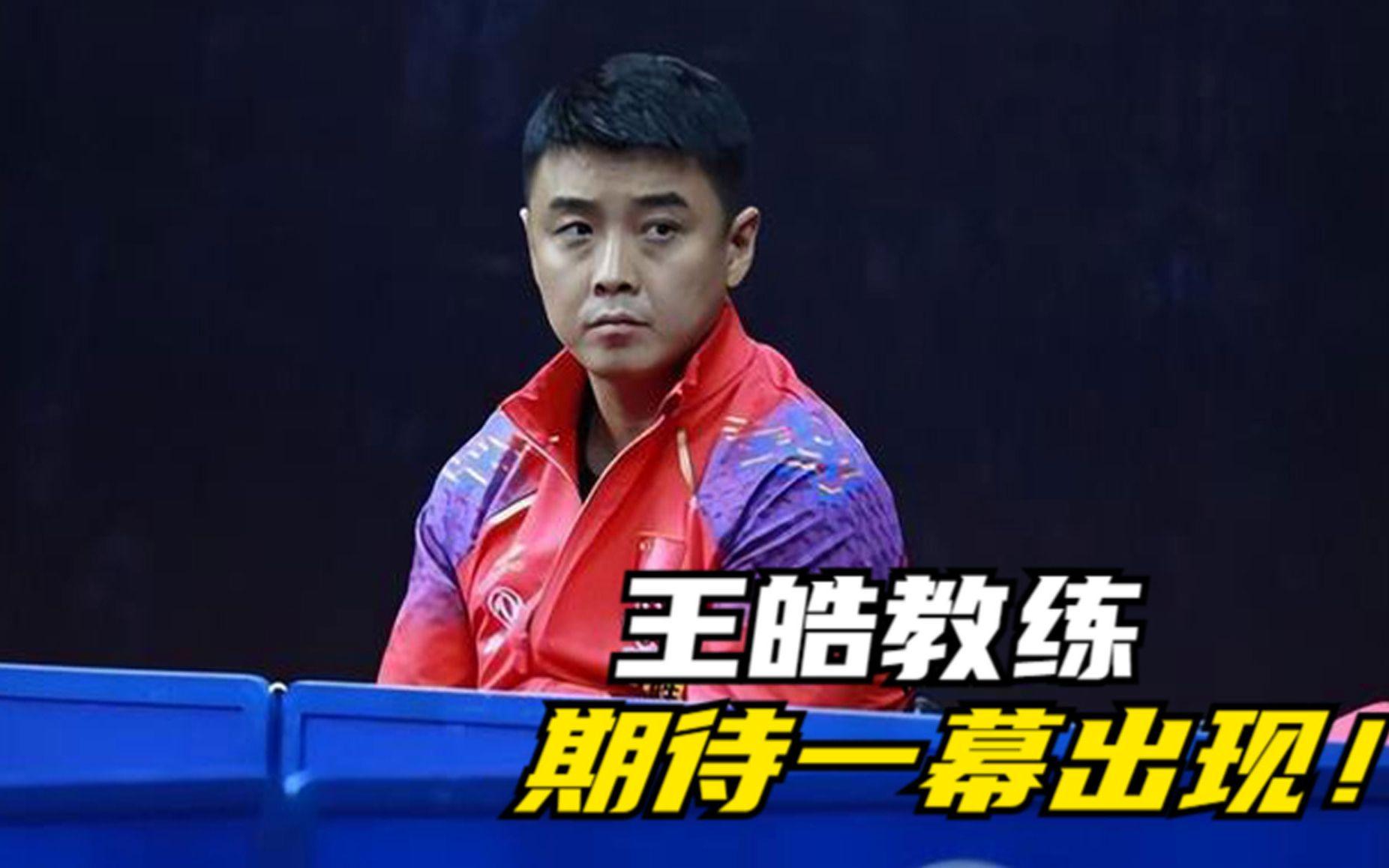 日本乒乓球队爆冷波兰乒乓球队，王皓高光表现的简单介绍